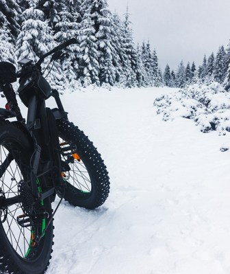 Winter on the Trails