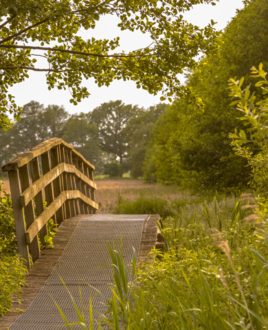 This image for Image Layouts addon