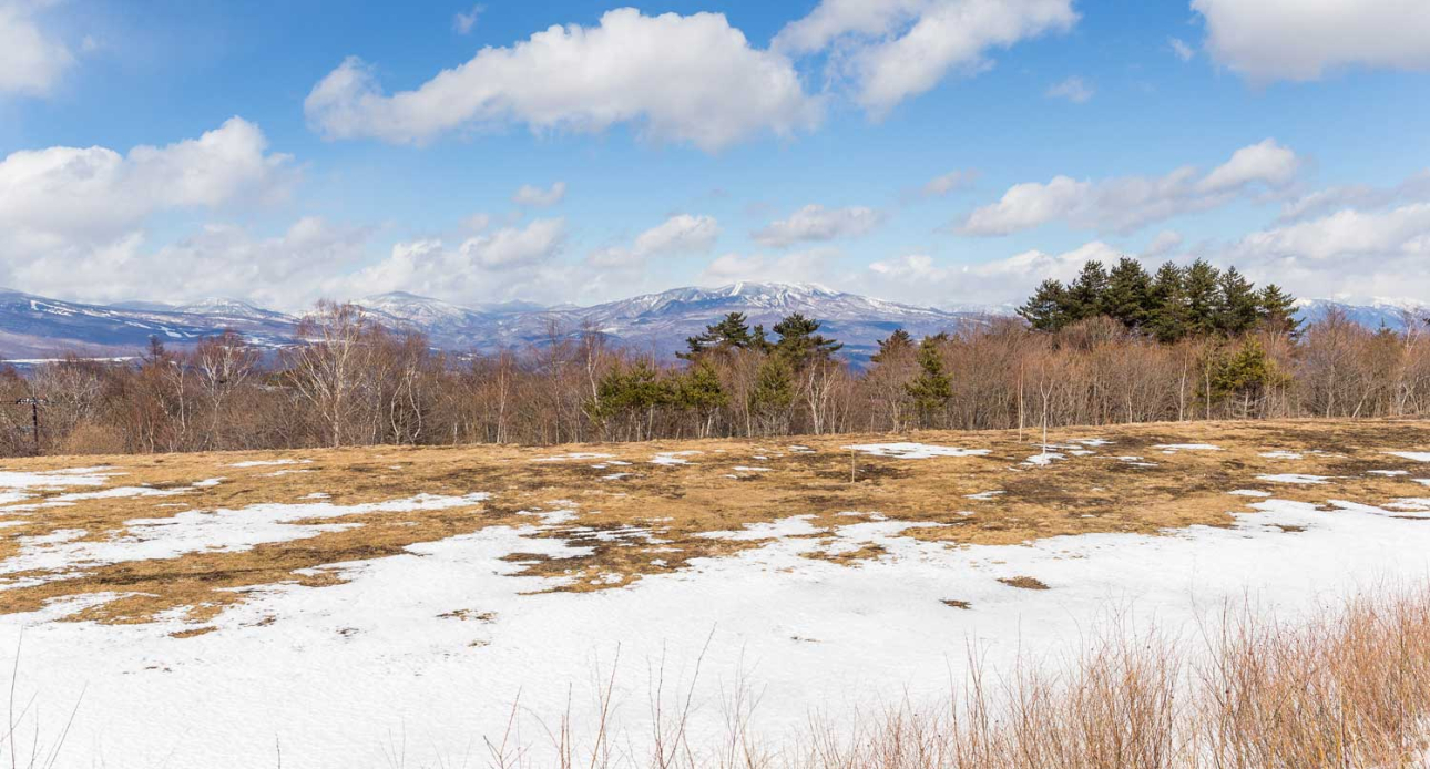 Springtime at the Lake!