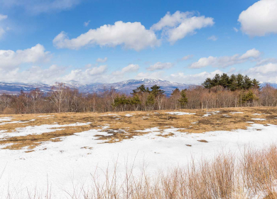 Springtime at the Lake!