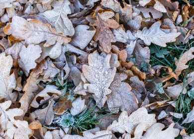 First Frost over Winnipesaukee