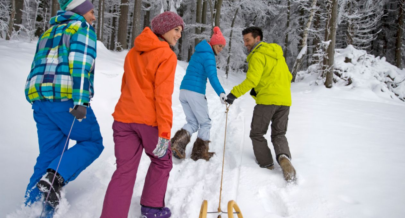 Winter Recreation around Lake Winnipesaukee: Tracks, Trails &amp; Tailwinds